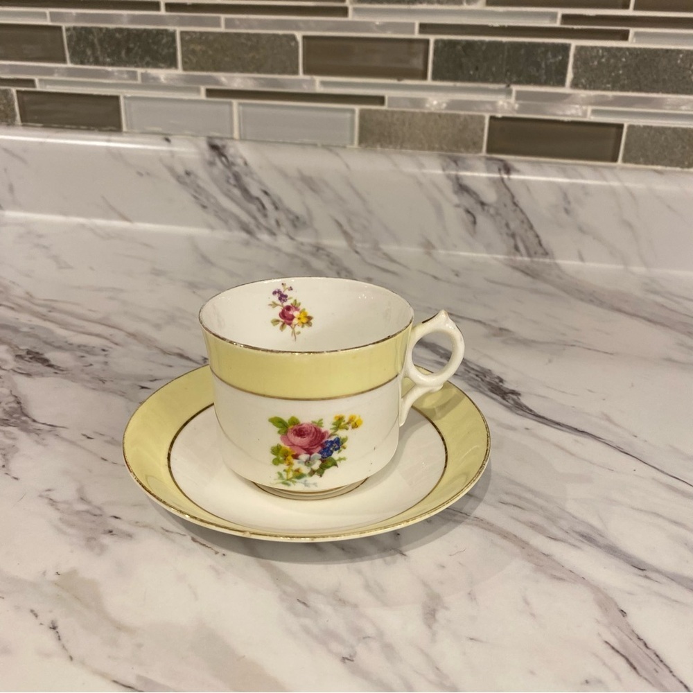 Vintage Rosina Bone China Teacup & Saucer set